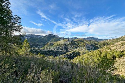 279167 sq.m. land plot for sale in Pratdip, Tarragona, Catalonia, Spain № 5548 - photo 19