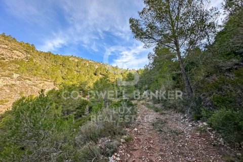279167 sq.m. land plot for sale in Pratdip, Tarragona, Catalonia, Spain № 5548 - photo 7