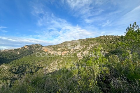 279167 sq.m. land plot for sale in Pratdip, Tarragona, Catalonia, Spain № 5548 - photo 6