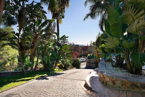 Купить дом в Кастельдефельс, Испания с 6 комнат, № 1406 - фото 24